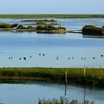 Дом отдыха Frisian House By The Sea