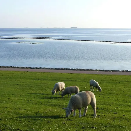 Frisian House By The Sea * Dagebüll